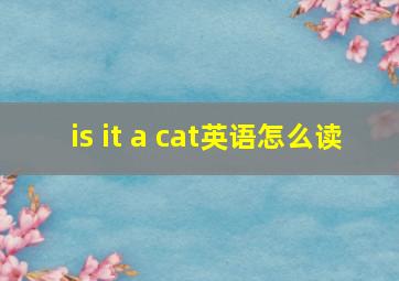 is it a cat英语怎么读